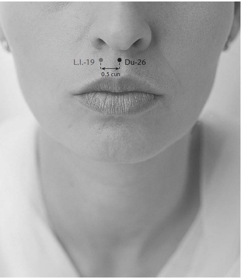 Результат пошуку зображень за запитом "жэнь-чжун"