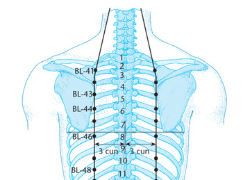 V42 По-ху (BL 42)