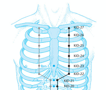 R27 Шу-фу (KID 27)