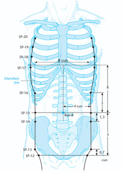 RP14 Фу-цзе (SP 14)