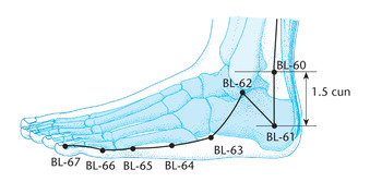 V61 Пу-цань (BL 61)